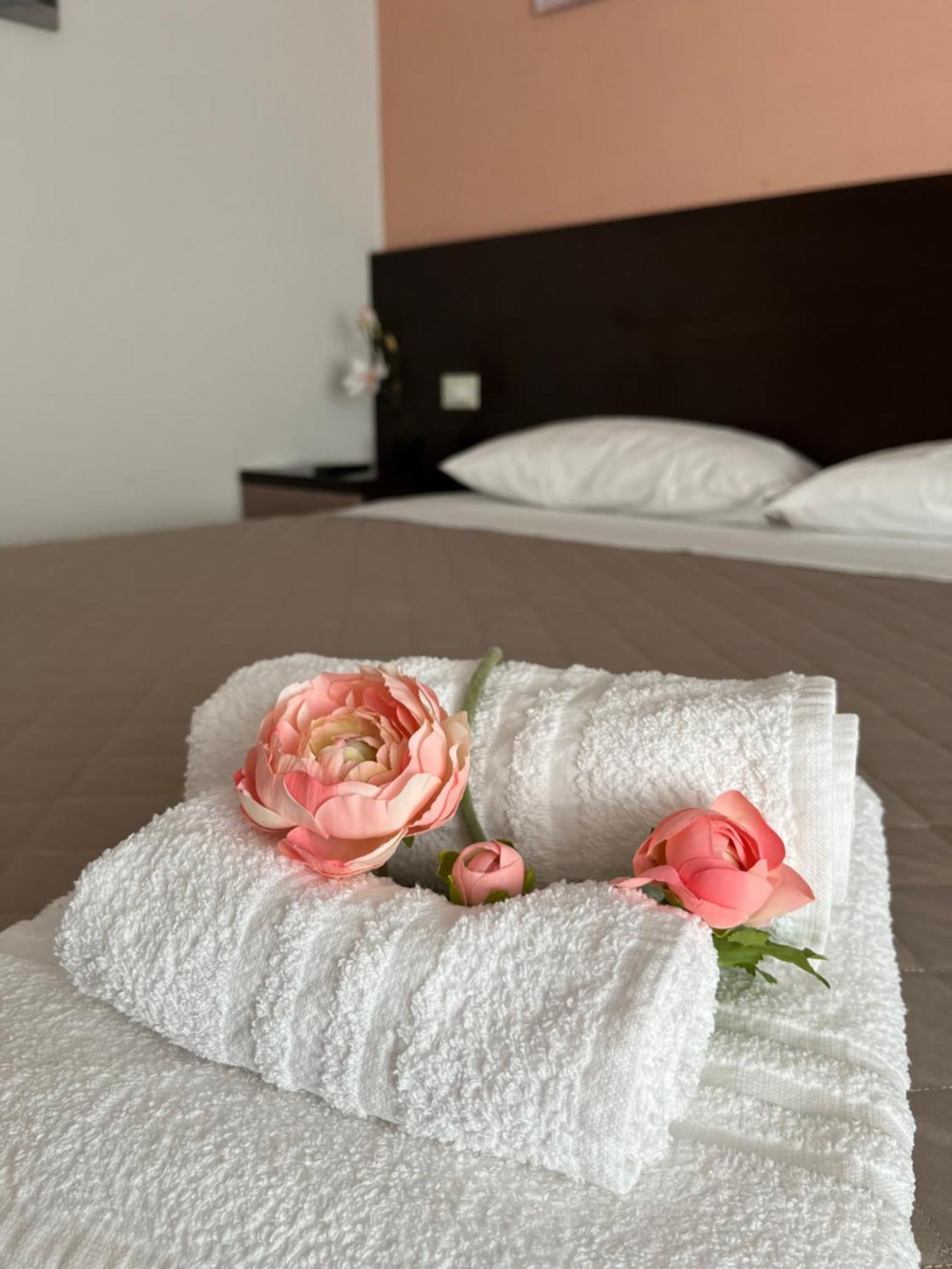 Bed & Breakfast La Rondinella Cerasolo Exterior photo